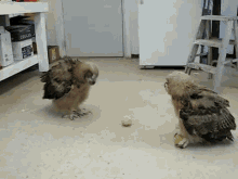 Explain This GIF