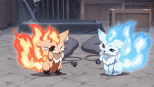 a fox with a fire tail and a fox with a blue fire tail