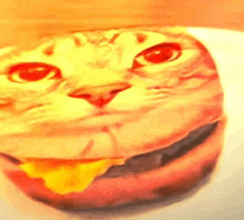 a close up of a hamburger with a cat face on it .