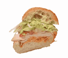sandwich spinning tasty sub sesimi