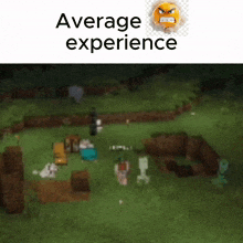a screenshot of a video game with the words average experience