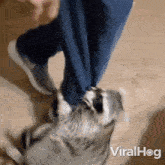 Don'T Leave Me Viralhog GIF - Don'T Leave Me Viralhog Stay With Me GIFs