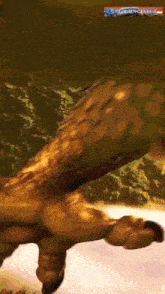 a picture of a giraffe with the words global genre written on the bottom