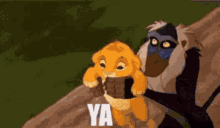 Lion King Yeet GIF - Lion King Yeet Simba GIFs