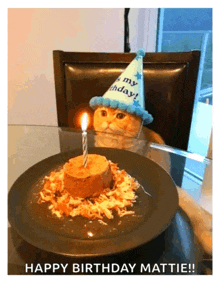 a cat wearing a party hat looks at a birthday cake with a candle on it