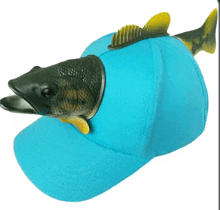 a blue hat with a fish on it .