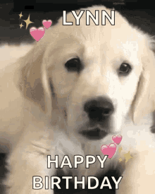 Happy Birthday GIF - Happy Birthday Puppy GIFs
