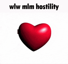 two heart shaped mirrors with the words wlw mln hostility on top