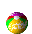 a colorful beach ball with the word selva written on it