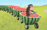 a monkey is riding a train of watermelons