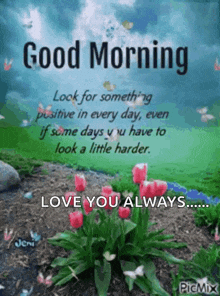 good morning look for something positive in every day , even if some days you have to look a little harder love you always