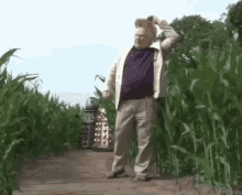 Numberoneroseschlossbergstan Me When Im Colin Baker In A Corn Field Acting Like Im Surprised GIF