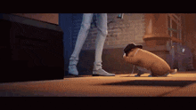a dog wearing a hat is sniffing a person 's foot