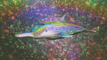 Psychedelic Dolphin GIF - Psychedelic Dolphin GIFs