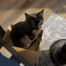 Jewel Cat GIF - Jewel Cat Becomes Uncanny GIFs