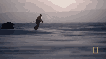 Strolling National Geographic GIF