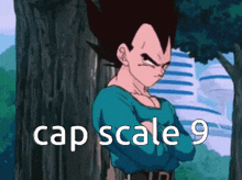 Cap Scale 9 GIF - Cap Scale 9 Dragon Ball Z GIFs