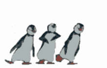 Dancing Penguins GIF - Dancing Penguins GIFs