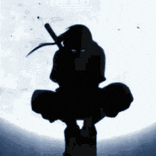 a silhouette of a ninja holding a sword in front of a full moon .
