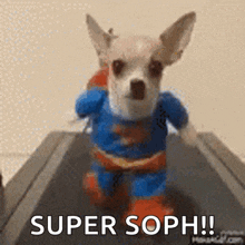 Whats Up Danger Superdog GIF - Whats Up Danger Superdog Chihuahua GIFs