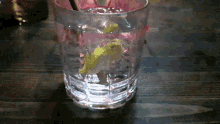 gin tonic party