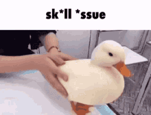 ducker meme