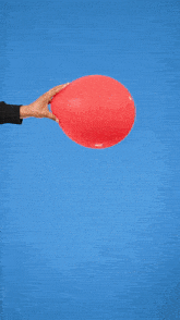 a man in a black sweater holds a red balloon in front of a blue background