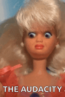a close up of a barbie doll with the words the audacity written below it