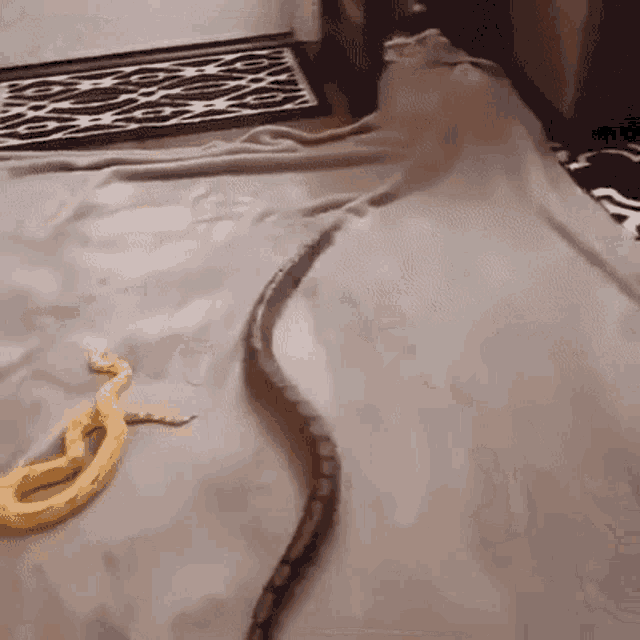 Как превратиться в змею