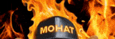 Mohat Mohatcoin GIF - Mohat Mohatcoin Mohat Coin GIFs
