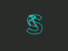 the letter s is glowing in the dark