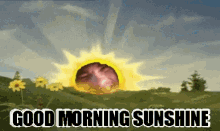 Frank Sun Good Morning Sunshine GIF - Frank Sun Good Morning Sunshine GIFs