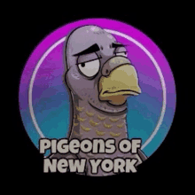 Pigeons Of New York Pigeons Of New York Nft GIF