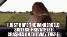 vandergeld sisters private jet chrashes