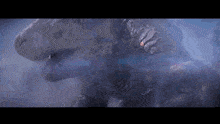 Godzilla Shimo GIF - Godzilla Shimo Godzilla X Kong The New Empire GIFs