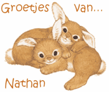 nathan nathan name name best wishes rabbit