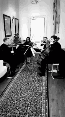 a group of people playing violins and cello in a room