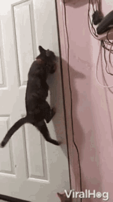 Cat Opening Door Viralhog GIF - Cat Opening Door Viralhog Cat GIFs