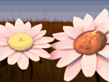 two flowers with faces on them one of which has the letter z on the center