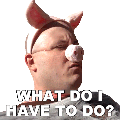 What Do I Have To Do Pig Sticker - What Do I Have To Do Pig Nate Morse Stickers