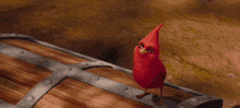 a red cardinal is standing on top of a wooden box .