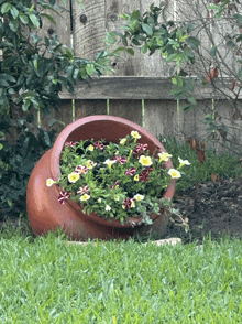 a potted plant with flowers in it sits in the grass