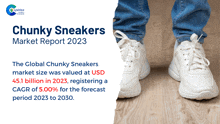 Chunky Sneakers Market Report 2024 GIF - Chunky Sneakers Market Report 2024 GIFs