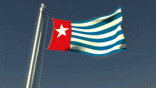 a blue and white flag with a red star on the top