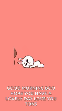 Love Brown And Cony GIF