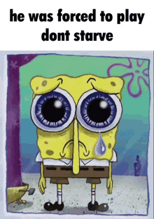 Dont Starve Dont GIF - Dont Starve Dont Starve GIFs