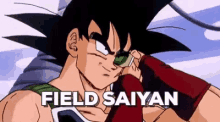 Saiyan Bardock GIF - Saiyan Bardock Field GIFs