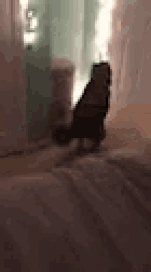 Dog Hop GIF