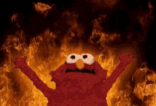Fire Elmo GIF - Fire Elmo GIFs