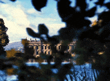 a large building is visible through the trees in the background